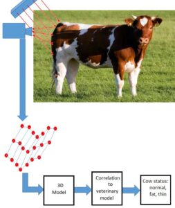 Cow - Animal Health Monitoring