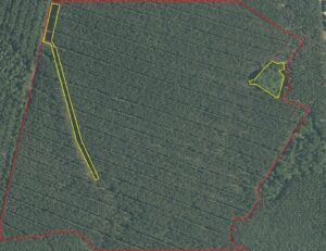 post thinning skidding with logging dock detection 