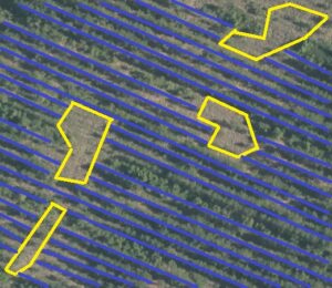Un-stocked rows detection (Inside yellow polygons)
