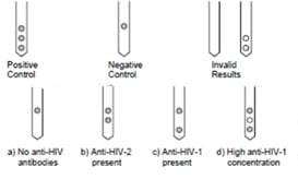 HIV - 3 spots markers