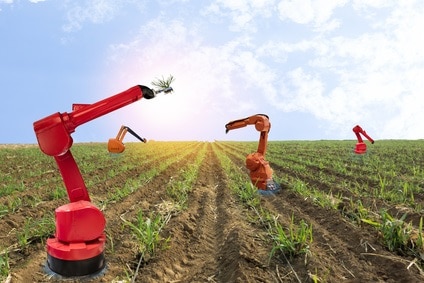 Robots using Machine Algorithms in Agriculture