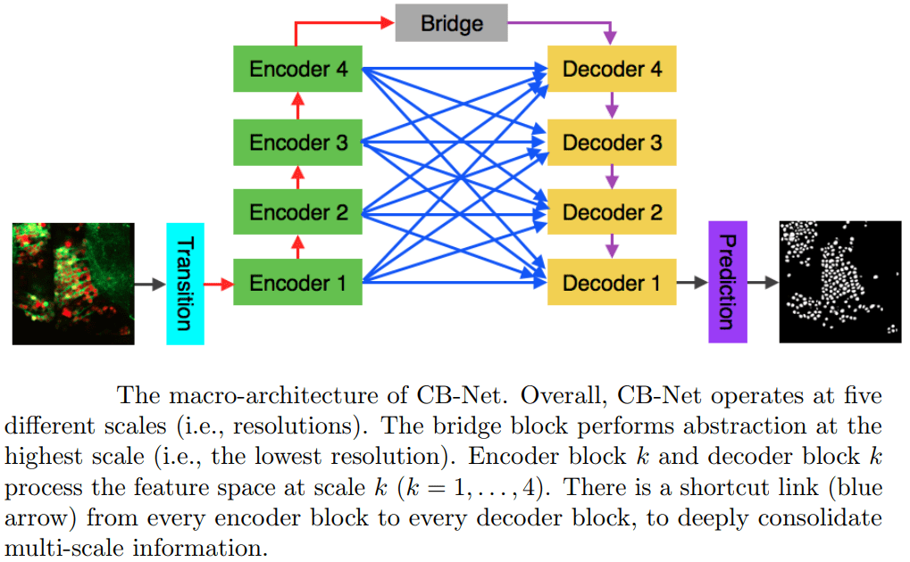 CB-Net2 - Bridge