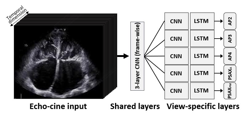 Five stream CNN LSTM