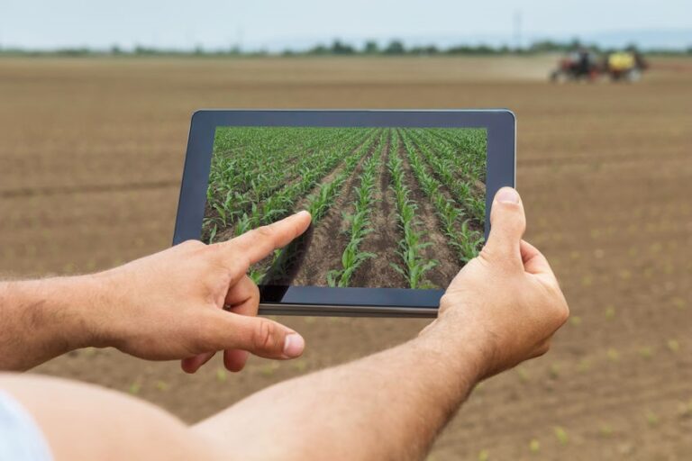Agricultural Yield Prediction on tablet