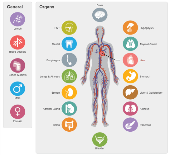 Full Body Segmentation modules