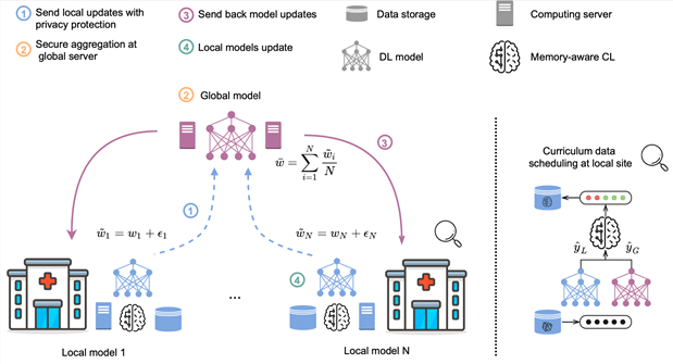 Memory-aware curriculum federated learning framework with data privacy protection.