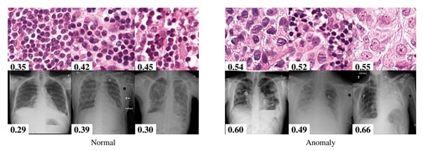 Shvetsova et al - Image 3